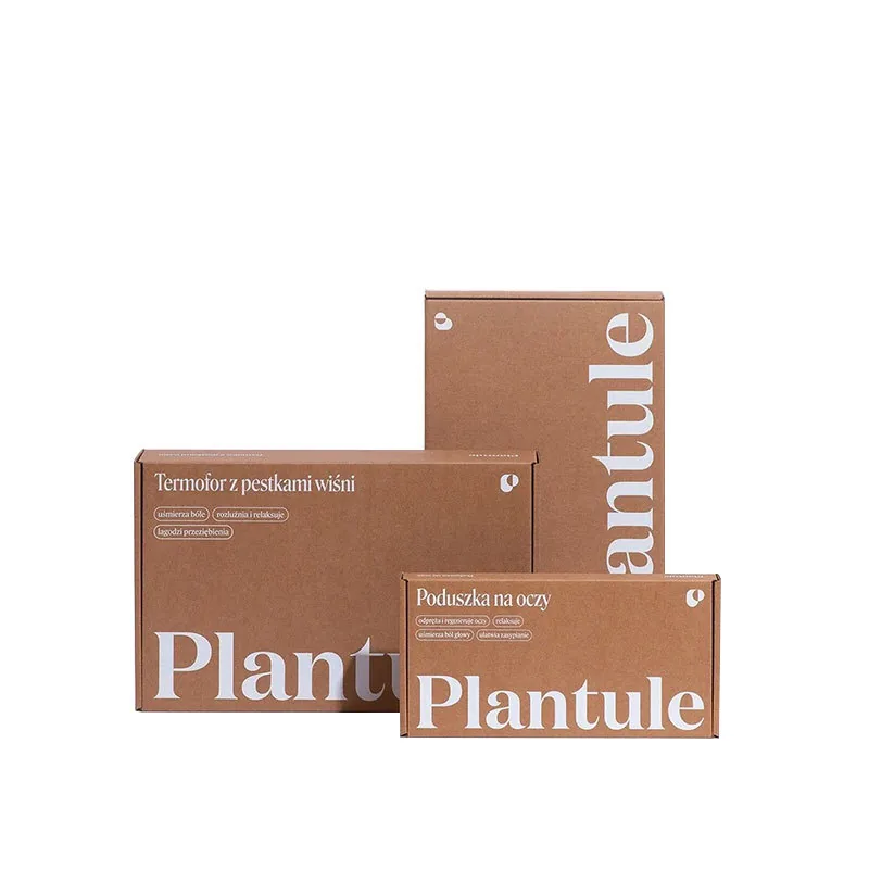 Simple Paper Box